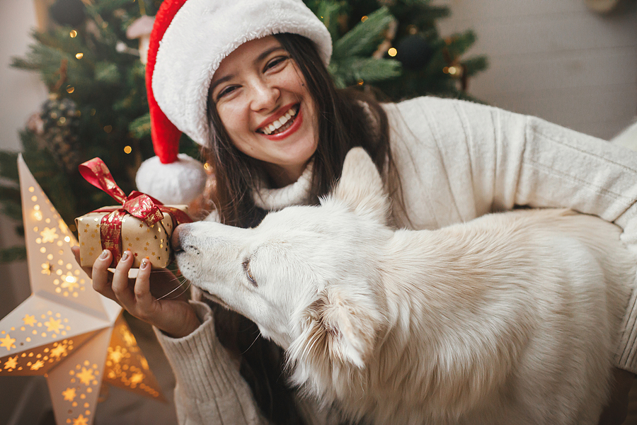 Why Seeing Your Dentist in December is Beneficial